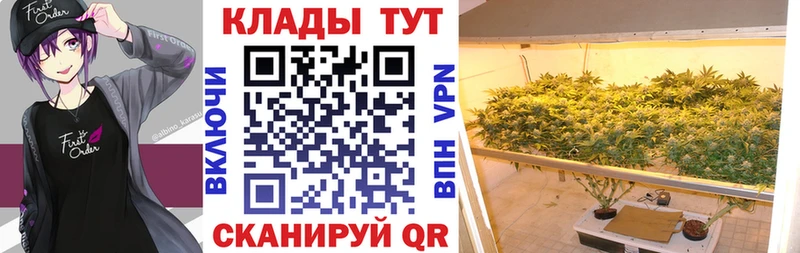 Как найти наркотики Алупка ГАШИШ  КОКАИН  Псилоцибиновые грибы  Каннабис  Меф  A PVP 
