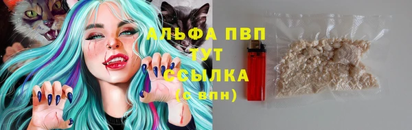 2c-b Осинники