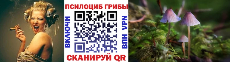 Псилоцибиновые грибы GOLDEN TEACHER Алупка